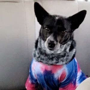 Meet your Posher, Alice